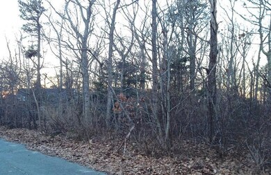 36 Captain Curtis Way, Orleans, MA 2653 - photo 2