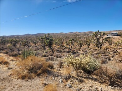Lot View
