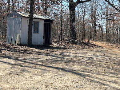 30 Bittersweet Dr, Highland, AR 72542 - photo 4