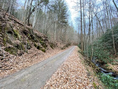 Entrance to Property USFS Rd 7072