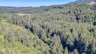 Yachats River Rd-7
