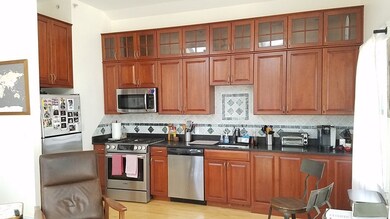 210 Erie St unit 2, Cambridge, MA 02139 - photo 4
