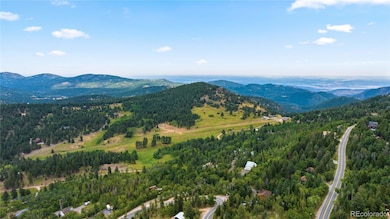 10126 Crest View Dr, Morrison, CO 80465 - photo 6