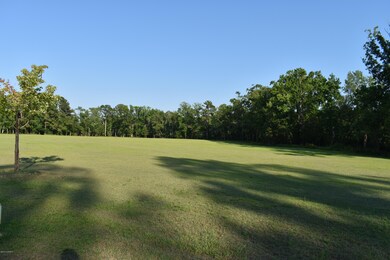 DSC_0431