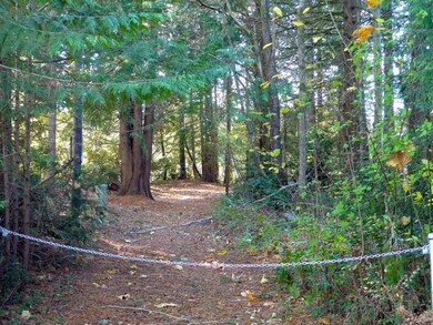 11 Blocks 82 83 84 Allyn Uga, Allyn, WA 98524 - photo 3