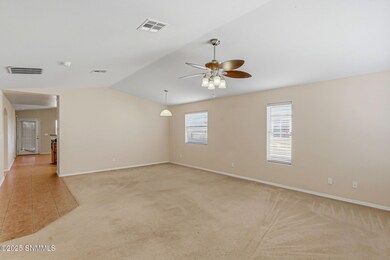 1345 Mogollon Rd, Las Cruces, NM 88007 - photo 4