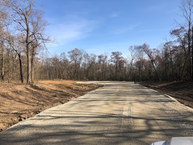 3857 Mayo Ridge Ln SW, Rochester, MN 55902 - photo 2