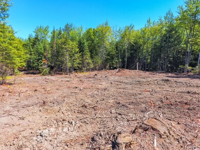 02_DJI_0099_copy_DxO_mls