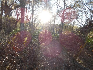 00 SW 215th Court Rd, Dunnellon, FL 34431 - photo 6