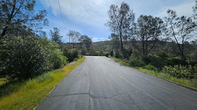 1641 Hidden Bridge Rd, El Dorado Hills, CA 95762 - photo 6