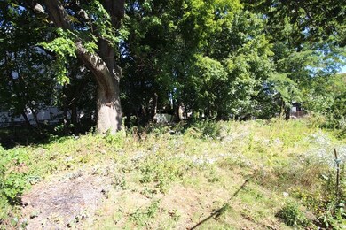 41 Woodville St, Boston, MA 02119 - photo 7