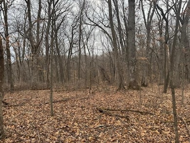 Lot 29 Hidden Meadow Ln, Blue River, WI 53518 - photo 4