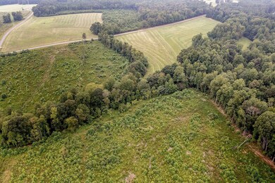 tbd N Carolina 87, Pittsboro, NC 27312 - photo 6