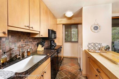 1028 E Hopkins Ave unit 24, Aspen, CO 81611 - photo 6