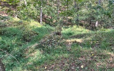Additional View
