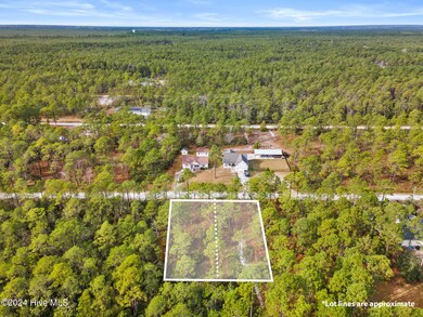 482 & 490 Wood Haven Rd, Boiling Spring Lakes, NC 28461 - photo 3