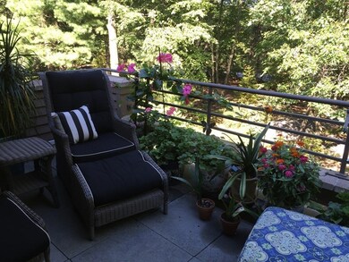 232 Allandale Rd unit 2C, Chestnut Hill, MA 02467 - photo 7