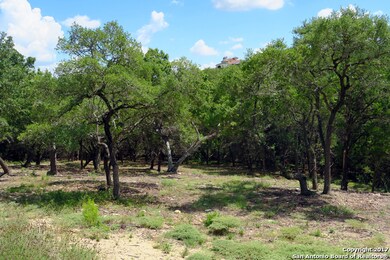 20331 Bobwhite Run, San Antonio, TX 78256 - photo 2