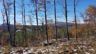 0 Long View Ln unit 2 4809138, Westmore, VT 05860 - photo 2