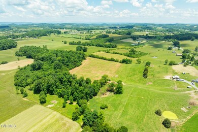 DJI_0767