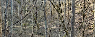 TBD Garrett Creek Rd, Abingdon, VA 24210 - photo 5