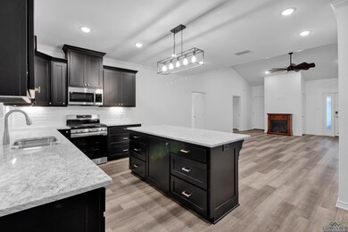 175 Heartland Trail, Diana, TX 75640 - photo 4