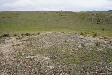 0 High Dr unit REC5498125, Hartsel, CO 80449 - photo 4