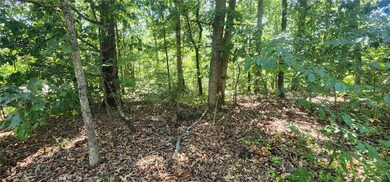 Lot 14 Stretford Dr, Bella Vista, AR 72714 - photo 4