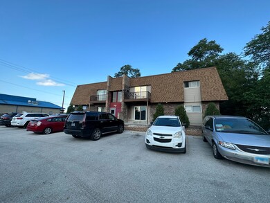 21133 Kildare Ave, Matteson, IL 60443 - photo 5