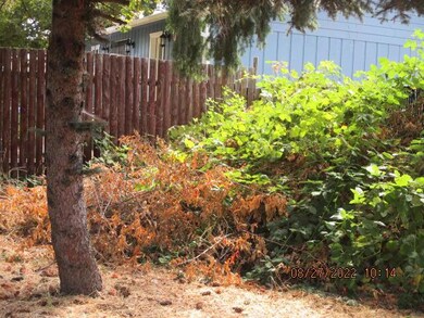 1135 SW Cottonwood St, Grants Pass, OR 97526 - photo 4