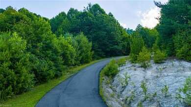 TBD 6 Big Laurel Rd, Creston, NC 28615 - photo 2