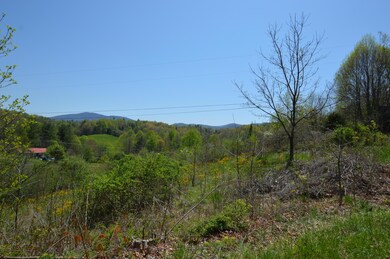 749 Piney02