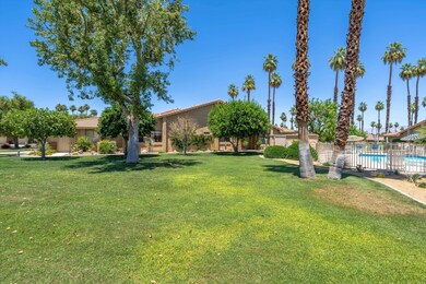 Side Yard