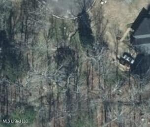 1069 Halton Ct, Brandon, MS 39047 - photo 3