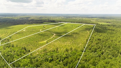 Lot 3 3 Notch Rd, Monetta, SC 29105 - photo 2