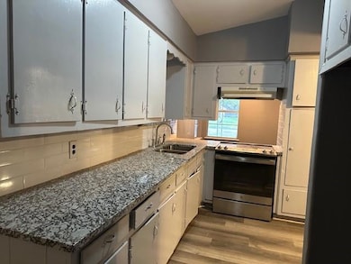 Kitchen with stainless steel electric stove, a sin