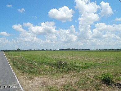 2700 Blk Peach Bloom Hwy unit Lot 6, Church Point, LA 70525 - photo 3