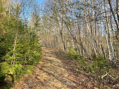 U04-003 Verril Rd, Hanover, ME 04237 - photo 3