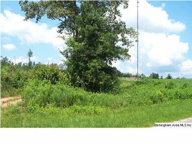 0 County Road 66 unit 2, Wedowee, AL 36278 - photo 4