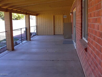 Huge Back Patio