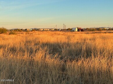 IMG_0509