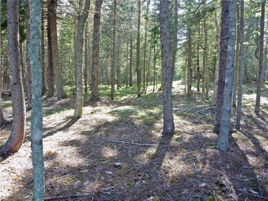 Land/Lot.
