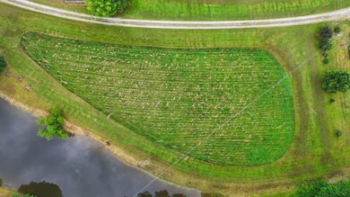 DJI_20250626202358_0941_D