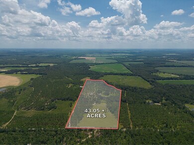 618 Cross Rd, Newton, GA 39870 - photo 3