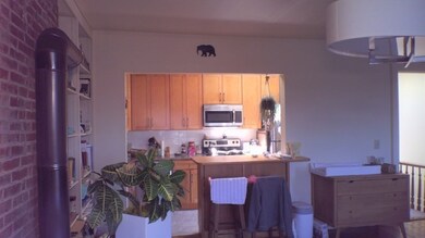 147 W Concord St unit 5, Boston, MA 02118 - photo 6