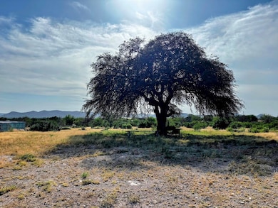 820 Matt St unit 34 & 35, Camp Wood, TX 78833 - photo 2