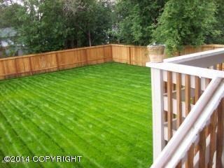 Back Yard 4