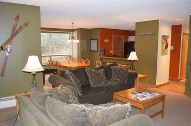 5 Northbrook Village Rd unit E-16, Dover, VT 05356 - photo 6