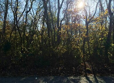 0 Spirketing St, Jamestown, RI 02835 - photo 4