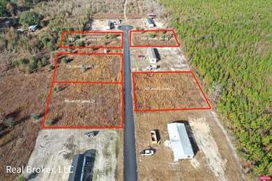 115 Jerold Jones Dr, Jesup, GA 31545 - photo 2